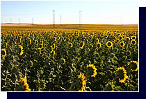 Farming in North Dakota